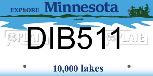 DIB511 Minnesota License Plate