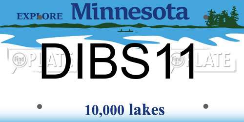 DIBS11 Minnesota License Plate