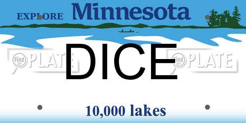DICE Minnesota License Plate