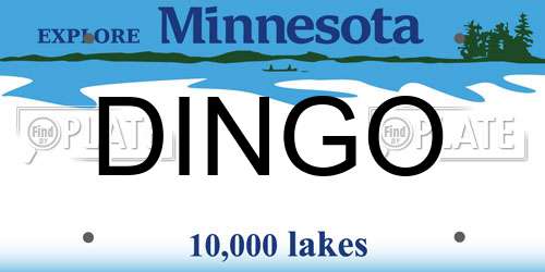 DINGO Minnesota License Plate