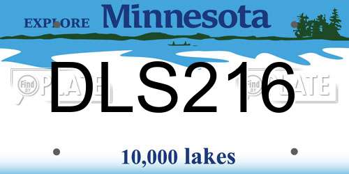 DLS216 Minnesota License Plate