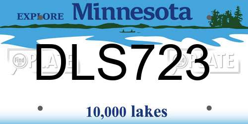 DLS723 Minnesota License Plate