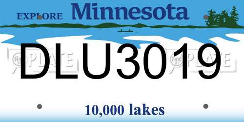 DLU3019 Minnesota License Plate