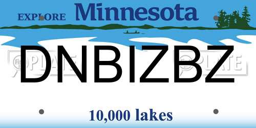 DNBIZBZ Minnesota License Plate
