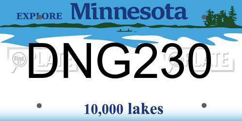 DNG230 Minnesota License Plate