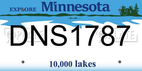 DNS1787 Minnesota License Plate