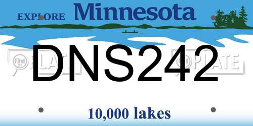 DNS242 Minnesota License Plate