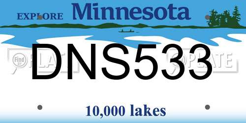 DNS533 Minnesota License Plate