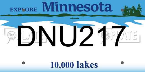 DNU217 Minnesota License Plate