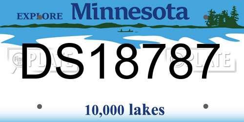 DS18787 Minnesota License Plate