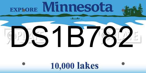 DS1B782 Minnesota License Plate