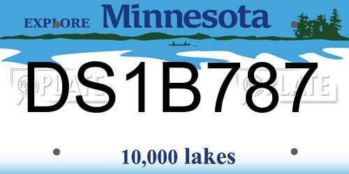 DS1B787 Minnesota License Plate