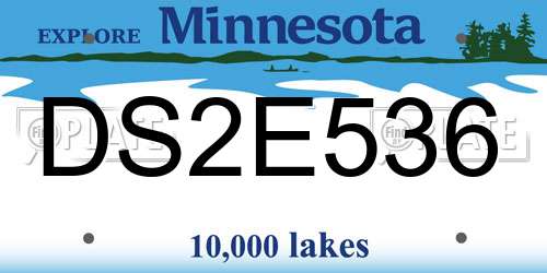 DS2E536 Minnesota License Plate