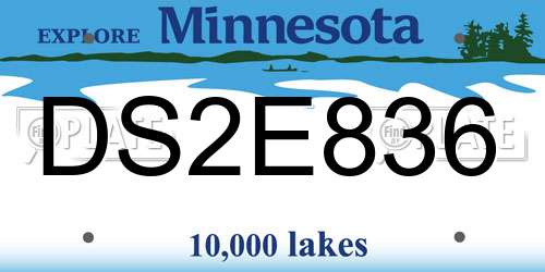 DS2E836 Minnesota License Plate