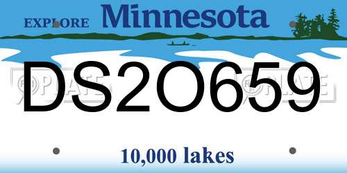 DS2O659 Minnesota License Plate