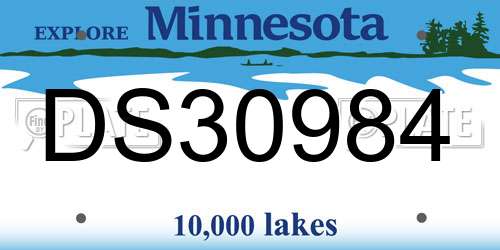 DS30984 Minnesota License Plate