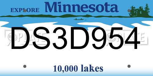 DS3D954 Minnesota License Plate