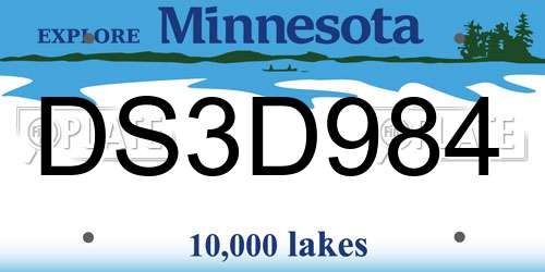 DS3D984 Minnesota License Plate