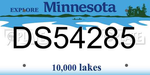 DS54285 Minnesota License Plate