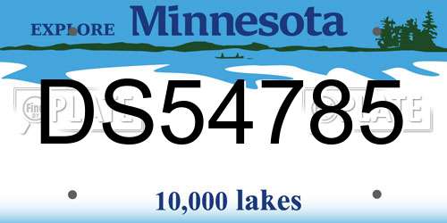 DS54785 Minnesota License Plate