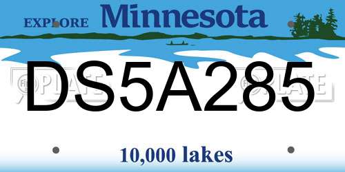 DS5A285 Minnesota License Plate