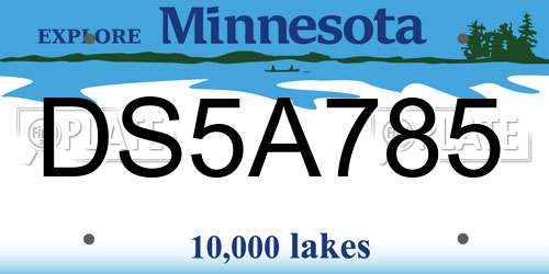 DS5A785 Minnesota License Plate