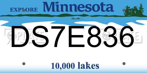 DS7E836 Minnesota License Plate