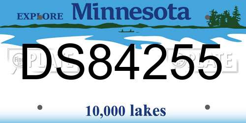 DS84255 Minnesota License Plate