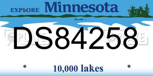DS84258 Minnesota License Plate