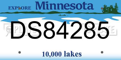 DS84285 Minnesota License Plate