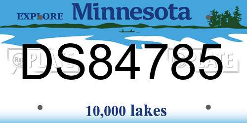 DS84785 Minnesota License Plate