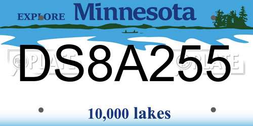 DS8A255 Minnesota License Plate