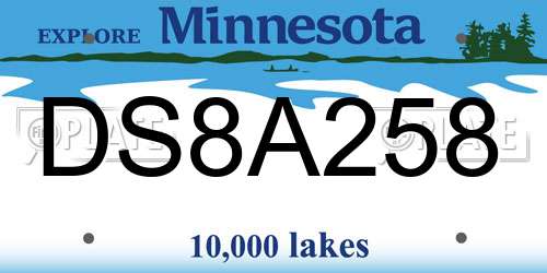 DS8A258 Minnesota License Plate