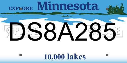 DS8A285 Minnesota License Plate