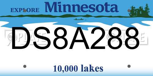 DS8A288 Minnesota License Plate