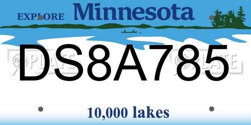 DS8A785 Minnesota License Plate