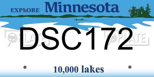 DSC172 Minnesota License Plate