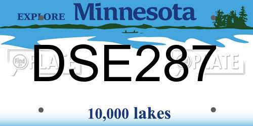 DSE287 Minnesota License Plate