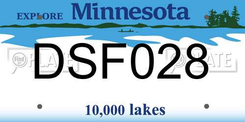 DSF028 Minnesota License Plate