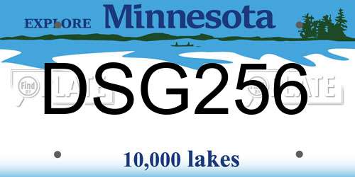 DSG256 Minnesota License Plate