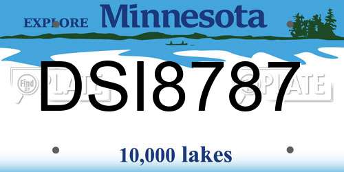 DSI8787 Minnesota License Plate