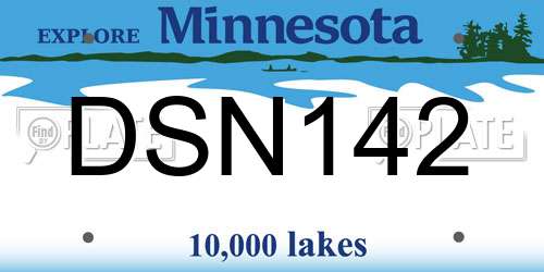 DSN142 Minnesota License Plate