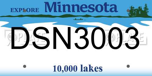 DSN3003 Minnesota License Plate