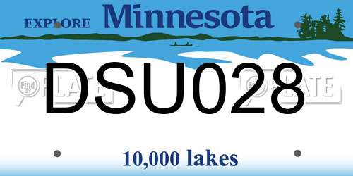 DSU028 Minnesota License Plate