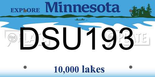 DSU193 Minnesota License Plate