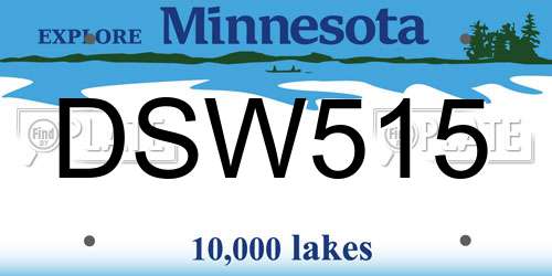 DSW515 Minnesota License Plate