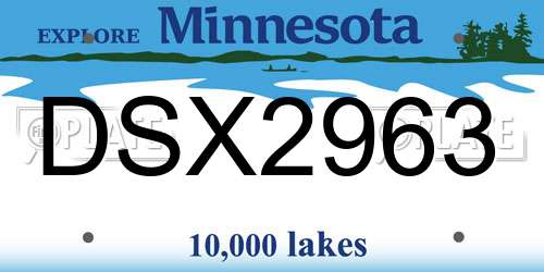 DSX2963 Minnesota License Plate