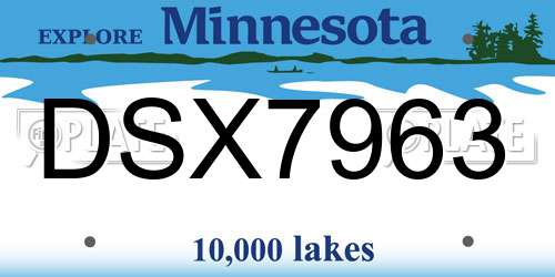 DSX7963 Minnesota License Plate