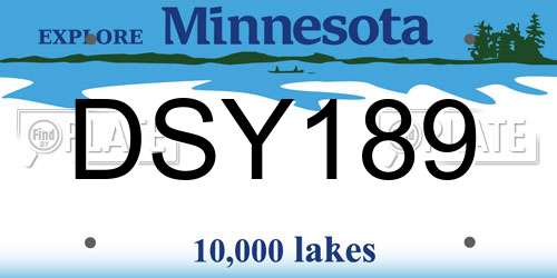 DSY189 Minnesota License Plate