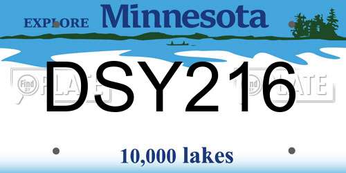 DSY216 Minnesota License Plate